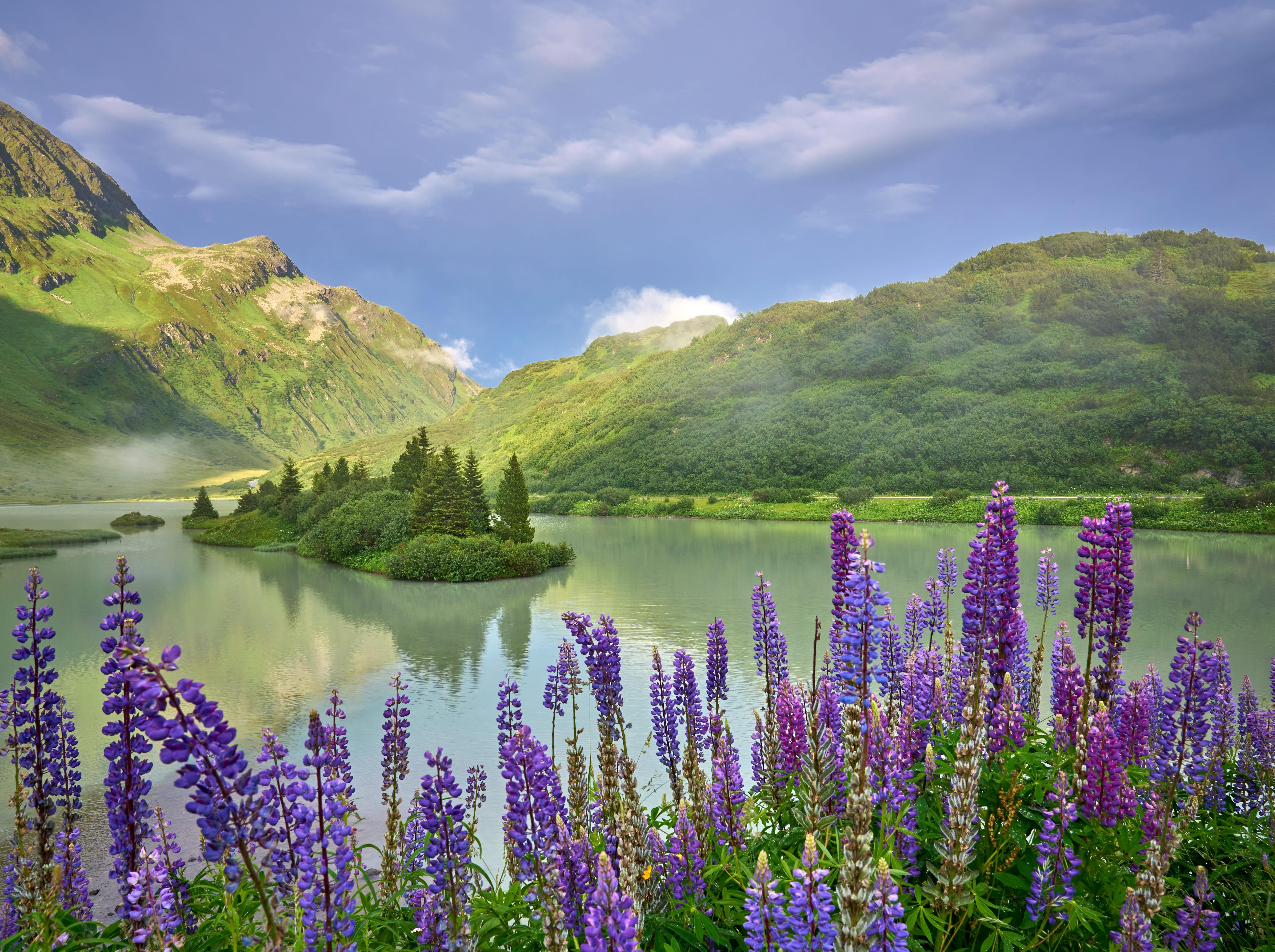 Blick auf den Zeinissee mit blühenden Blumen