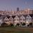 Painted Ladies