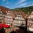 Calw
