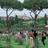 Il Roseto Comunale di Roma