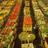 FloraHolland Aalsmeer