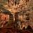 Carlsbad Caverns National Park