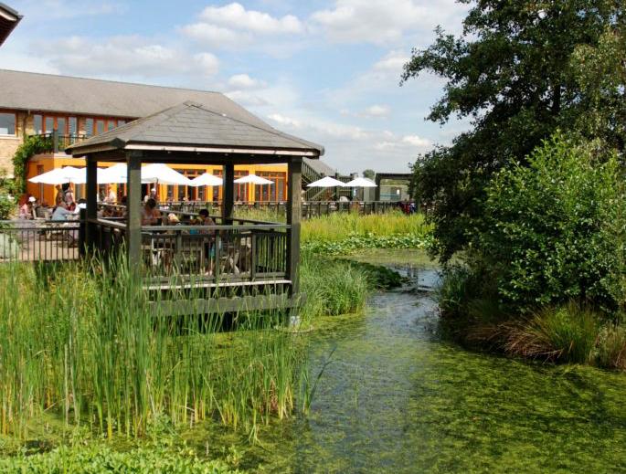 London Wetland Centre