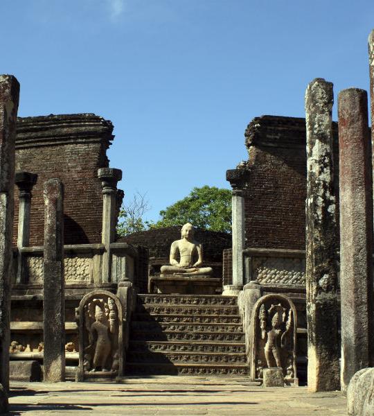 Buddha Statue Tempel Sri Lanka