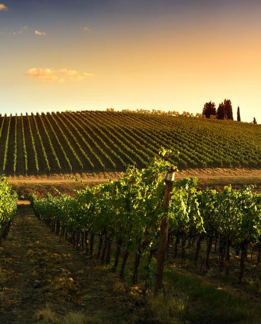 Weliko Tarnowo Der OnlineReiseführer von MARCO POLO