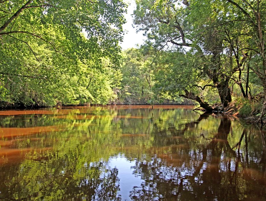 Naroden Park Ropotamo