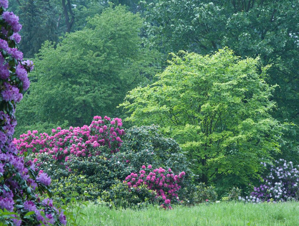 Jardin Botanique National de Belgique