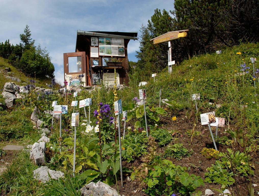 Alpenblumengarten