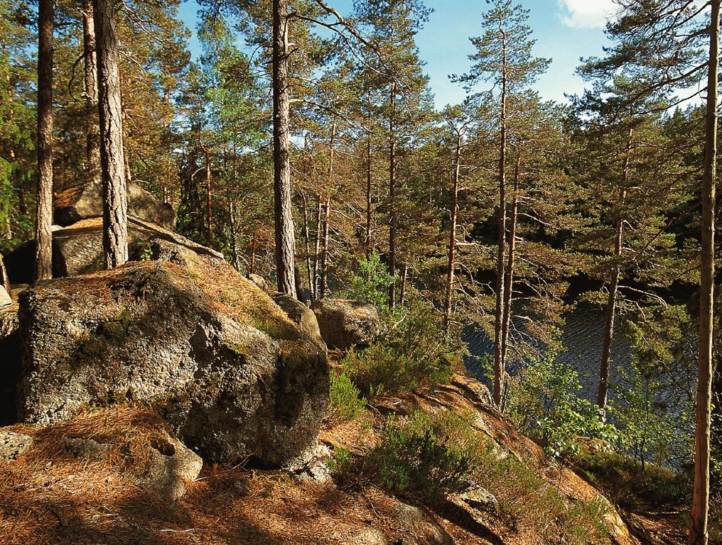 Tivedens nationalpark