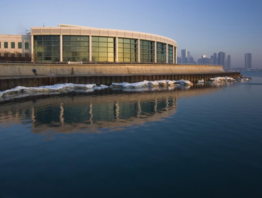Shedd Aquarium