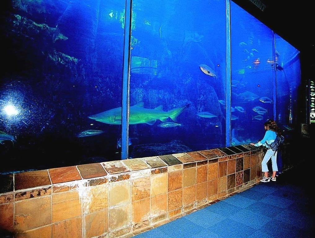 Two Oceans Aquarium