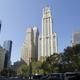 Woolworth Building