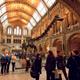 Natural History Museum