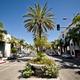 Rodeo Drive