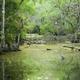Fakahatchee Strand State Preserve