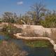 The Living Desert