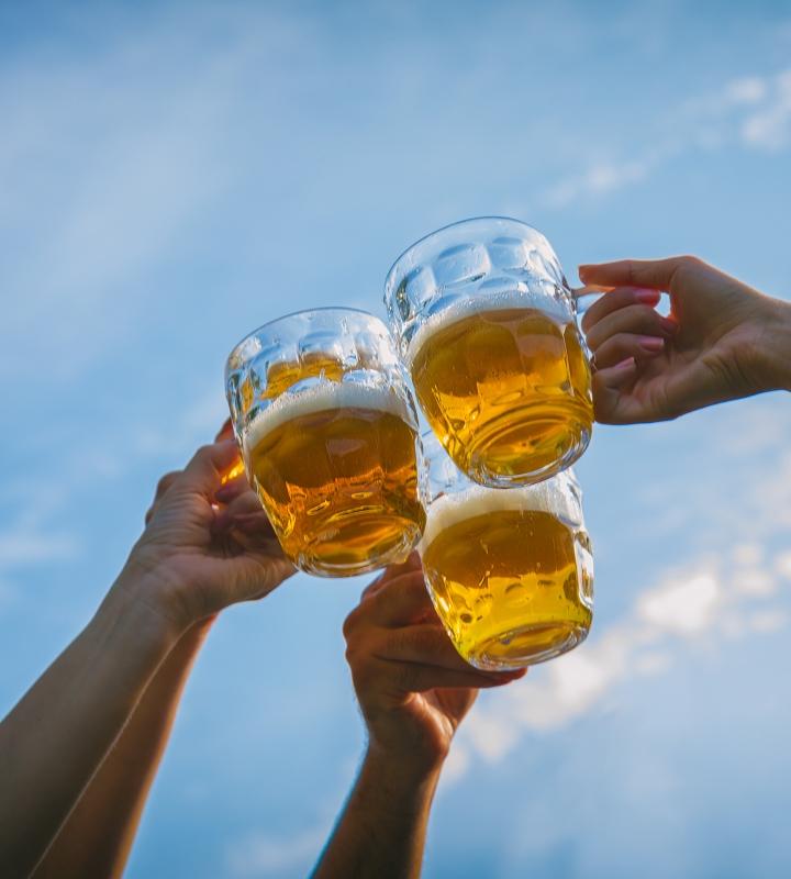 Bier- und Burgenstraße: 500 Kilometer Bierkultur