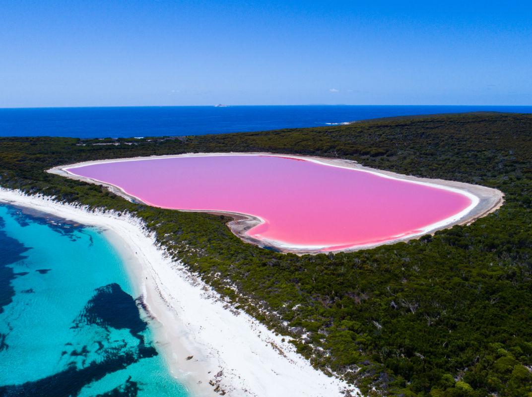 Lake Hillier: Rosafarbener See in Australien