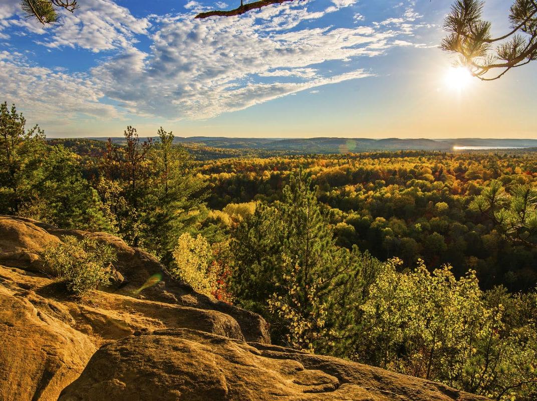 Blick auf kanadische Wälder