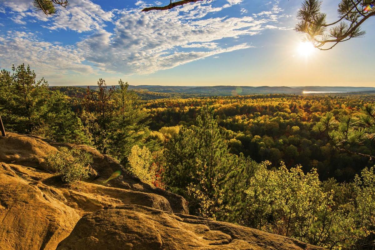Blick auf kanadische Wälder