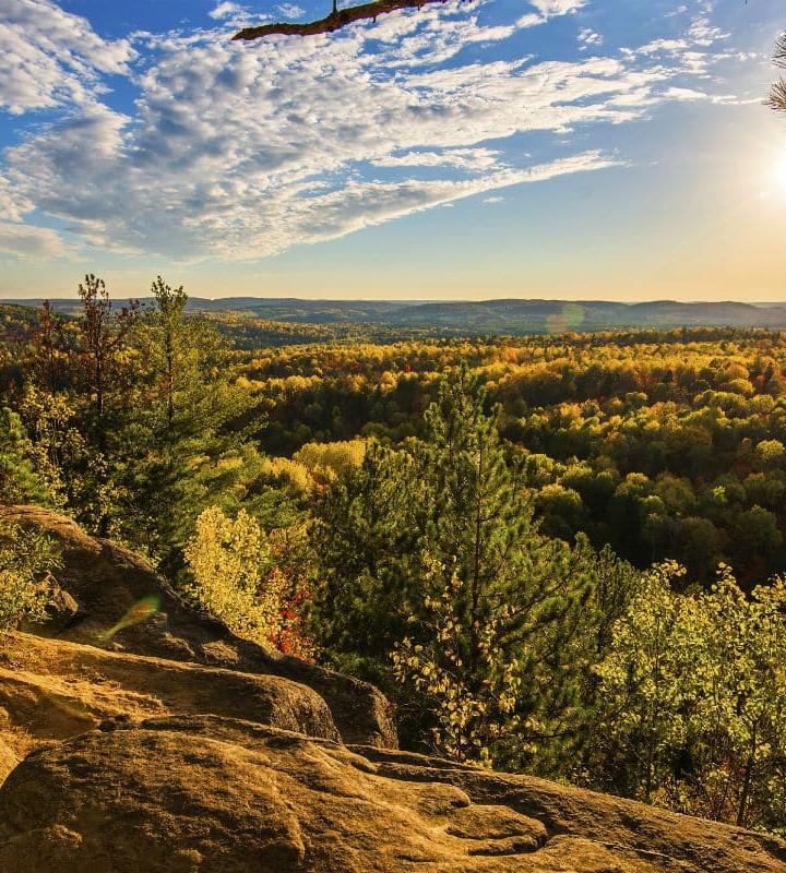 Blick auf kanadische Wälder
