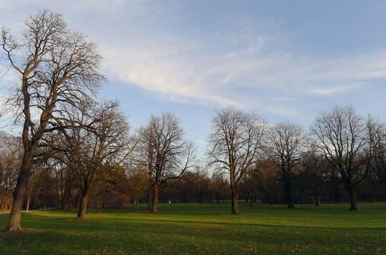 Königlicher Hirschgarten Königlicher Hirschgarten