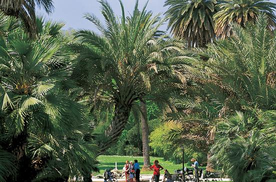 L'Orto Botanico di Roma L'Orto Botanico di Roma