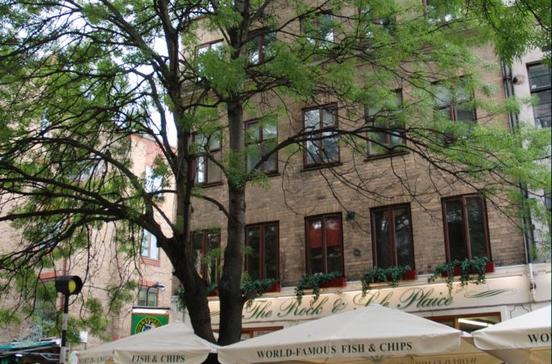 Rock & Sole Plaice Rock & Sole Plaice