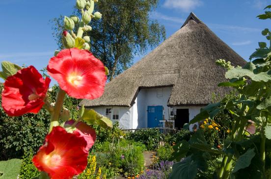 Pfarrwitwenhaus Pfarrwitwenhaus