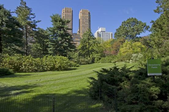Strawberry Fields Strawberry Fields