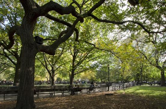 Tompkins Square Park Tompkins Square Park