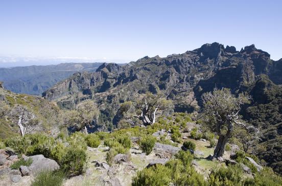 Pico Ruivo Pico Ruivo