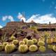 Jardín de Cactus