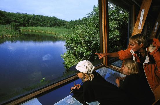 Eidum-Vogelkoje Eidum-Vogelkoje