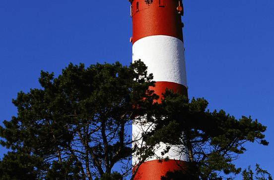 Leuchtturm Amrum Leuchtturm Amrum