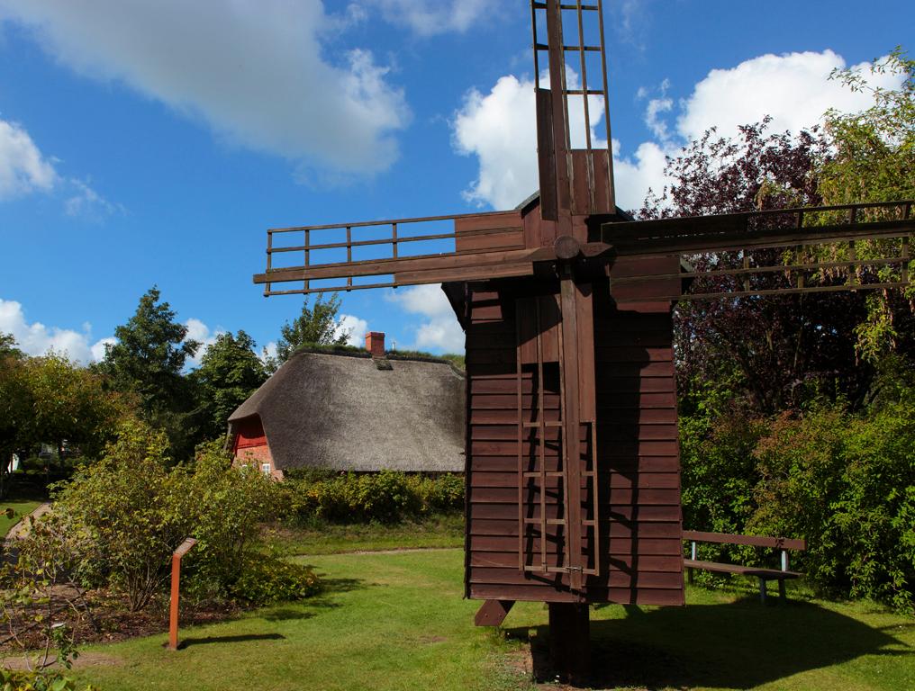 Dr.-Carl-Häberlin-Friesen-Museum