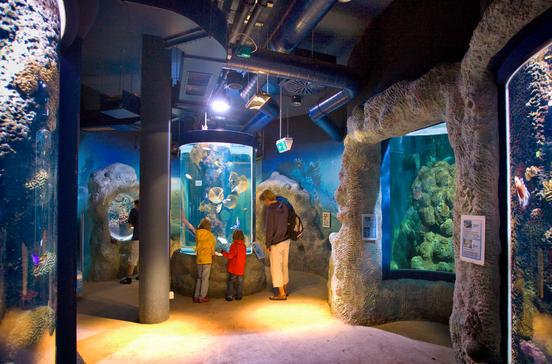 Sylt-Aquarium Sylt-Aquarium