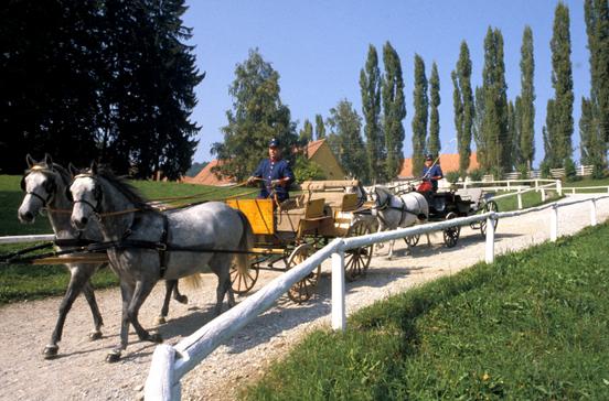 Bundesgestüt Piber Bundesgestüt Piber