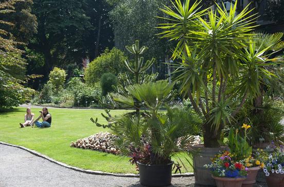 Plantentuin Plantentuin