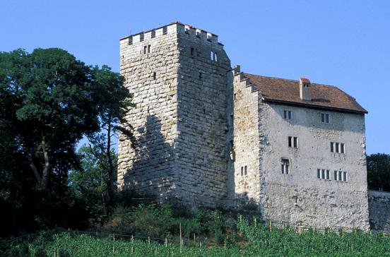 Hintere Habsburg Hintere Habsburg