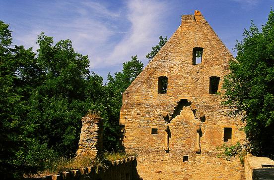 Klosterruine Disibodenberg Klosterruine Disibodenberg