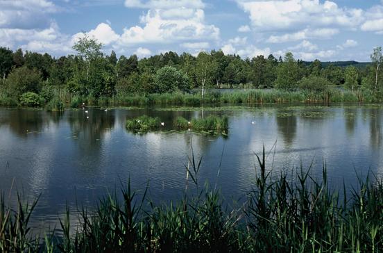 Wurzacher Ried Wurzacher Ried