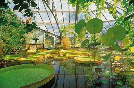 Gruson-Gewächshäuser Gruson-Gewächshäuser