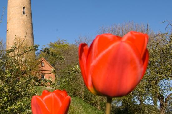 Neuer Leuchtturm Neuer Leuchtturm