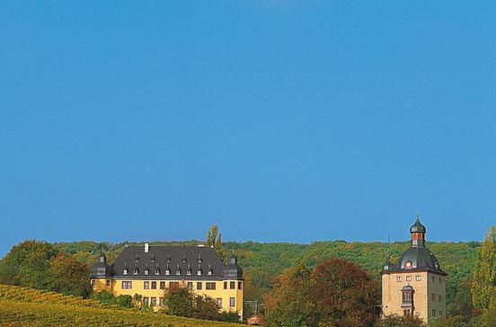 Schloss Vollrads Schloss Vollrads