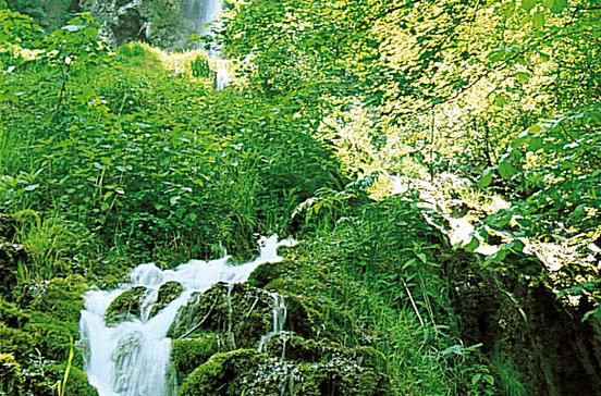 Uracher Wasserfall Uracher Wasserfall