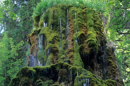 Musée-Promenade Musée-Promenade