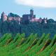 Château du Haut-Kœnigsbourg