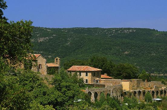 Chartreuse de la Verne Chartreuse de la Verne