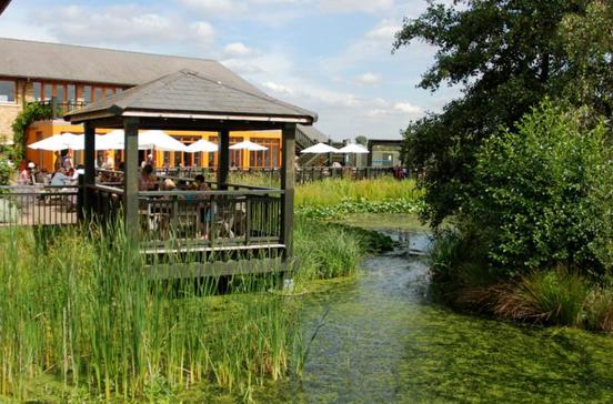 London Wetland Centre London Wetland Centre